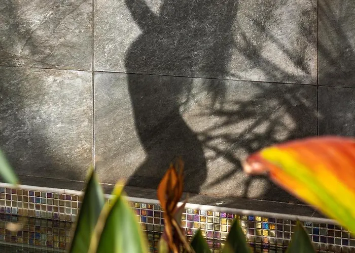 Eden By Lovelystay * Funchal (Madeira)