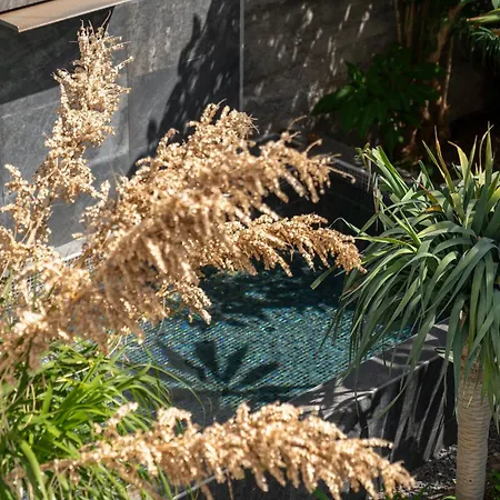 Eden By Lovelystay Villa Funchal (Madeira)