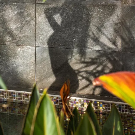 Eden By Lovelystay * Funchal (Madeira)